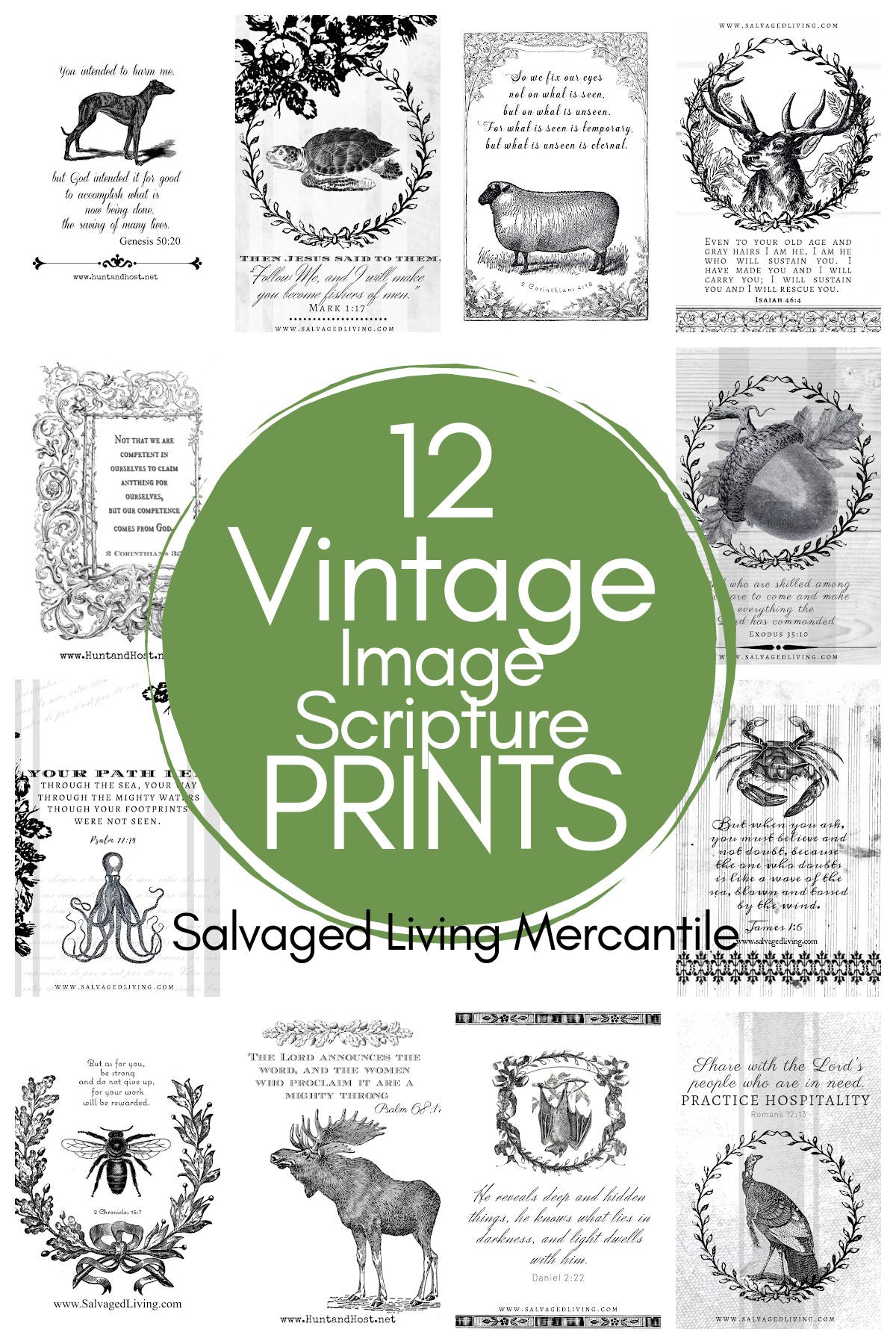 12 Vintage Art Scripture PRINT Set