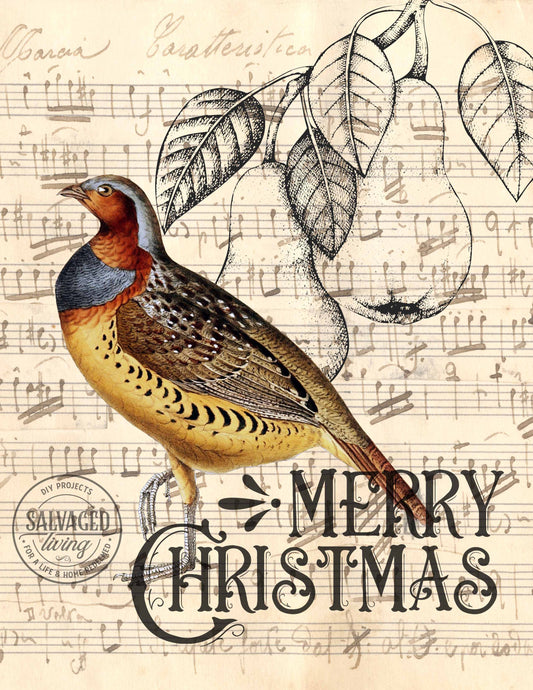 Partridge in a Pear Tree Digital Download